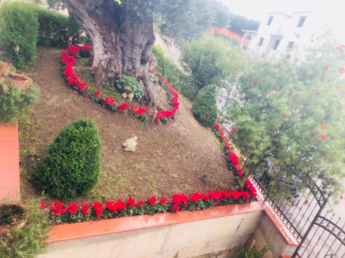 B&B Rosa dei Venti Roseto Capo Spulico Exterior foto